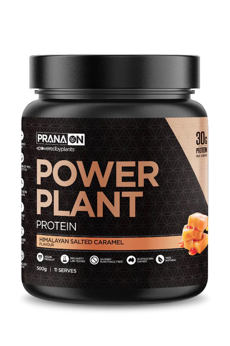 PranaOn Power Plant Protein Himalayan Salted  500g