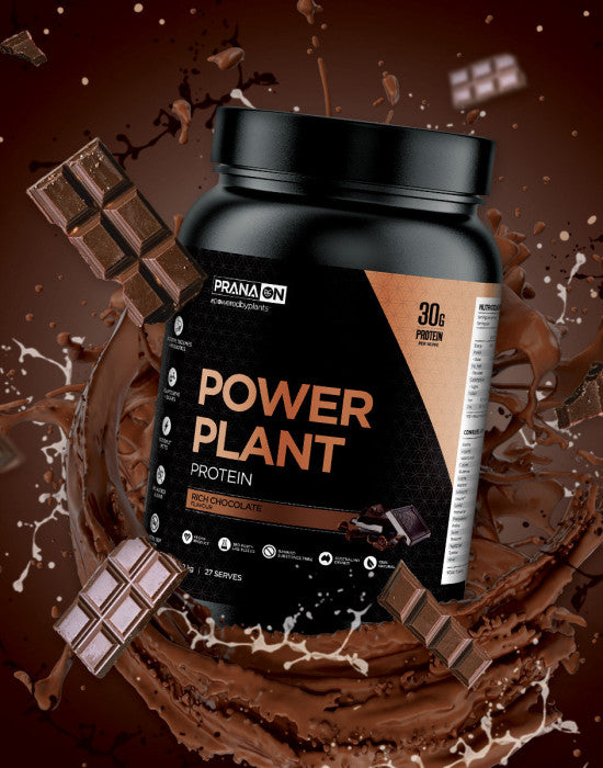 PranaOn Power Plant Protein Rich Chocolate 500g