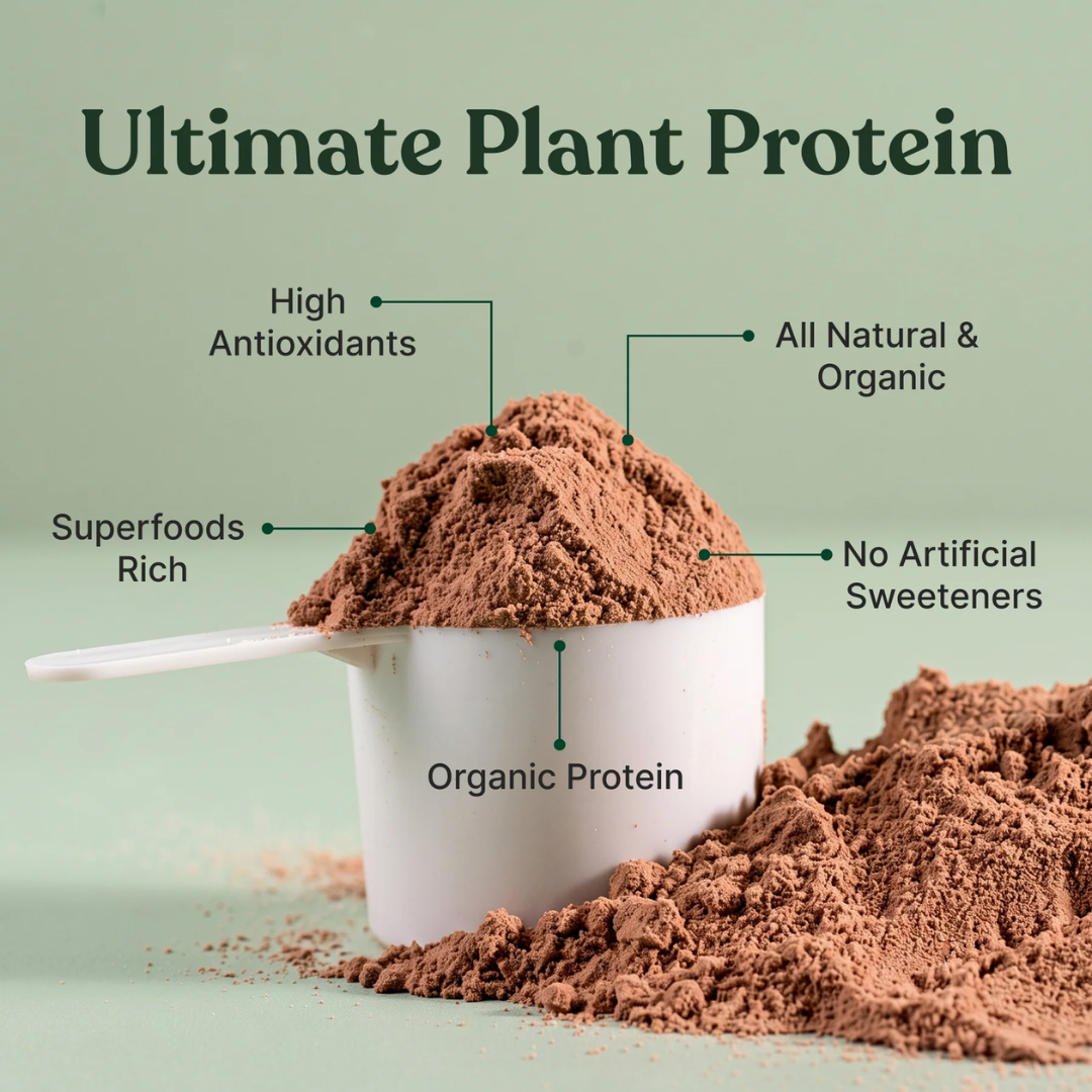 bRAW Ultimate Plant Protein Chocolate 400g