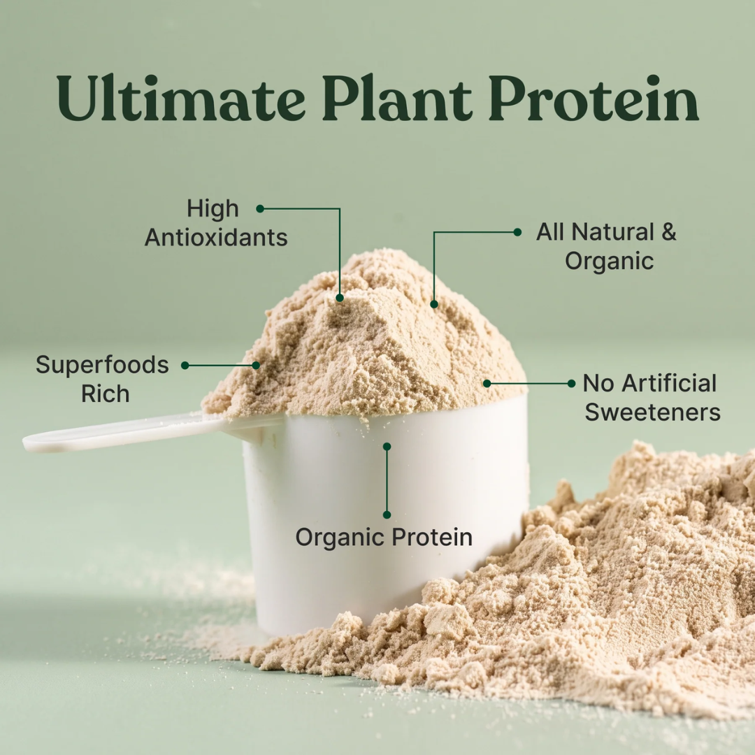 bRAW Ultimate Plant Protein Vanilla 400g